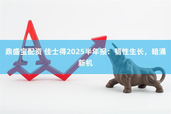 鼎盛宝配资 佳士得2025半年报：韧性生长，暗涌新机