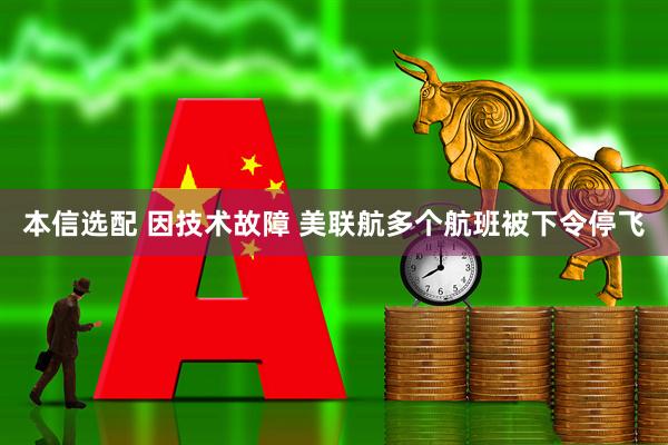 本信选配 因技术故障 美联航多个航班被下令停飞