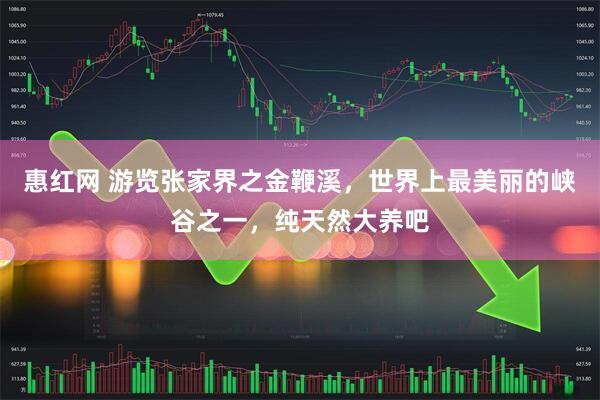 惠红网 游览张家界之金鞭溪，世界上最美丽的峡谷之一，纯天然大养吧