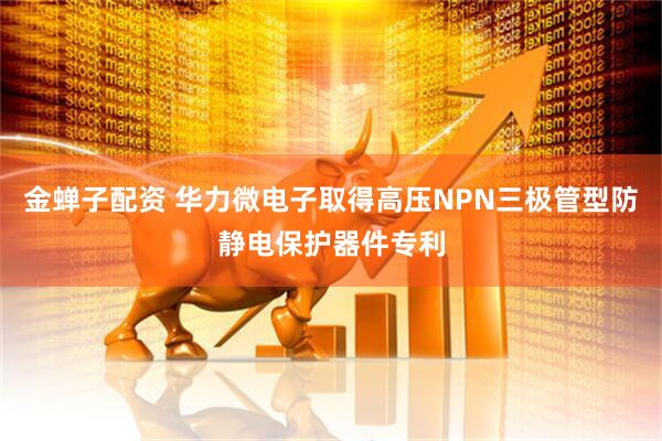 金蝉子配资 华力微电子取得高压NPN三极管型防静电保护器件专利