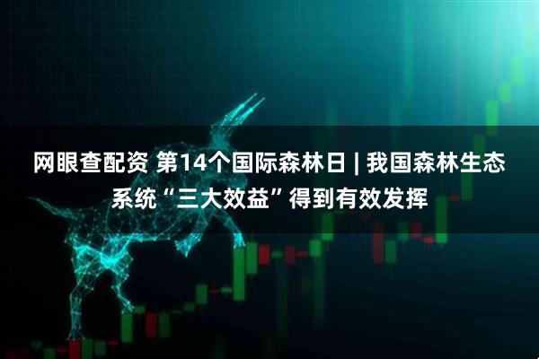 网眼查配资 第14个国际森林日 | 我国森林生态系统“三大效益”得到有效发挥